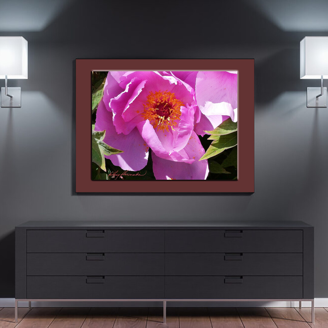 Pink Prairie Rose #124"x16" inch High Quality Metal Wall Art $400