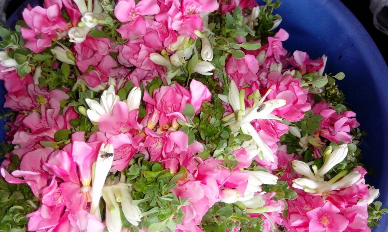 Kathambam [ கதம்பம் ]