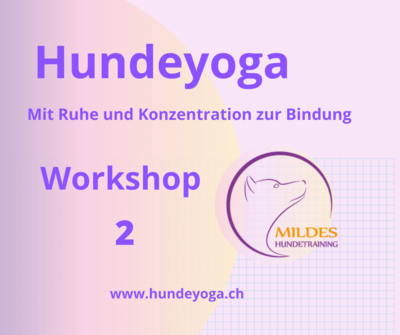 Hundeyoga Workshop 2 P0008