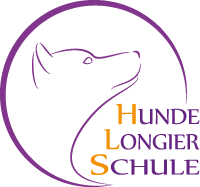 Online Video Kurse Shop