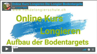 Online Longierkurs Vorbereitung Aufbau der Bodentargets K001
