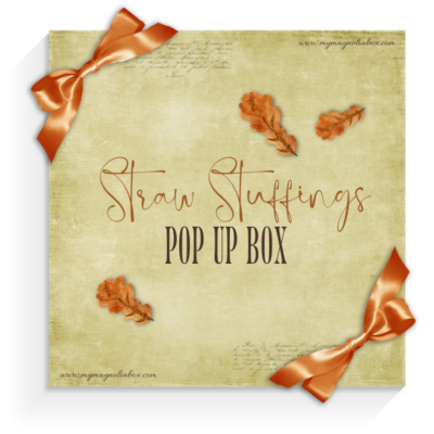 SOLD OUT!! POP UP BOX Straw Stuffings