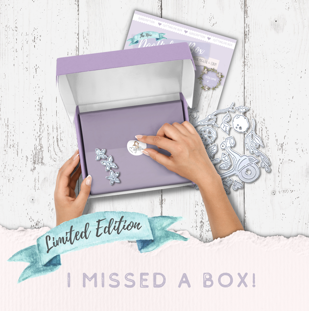 OUT OF STOCK! DooHickeyBOX {I missed a Box}