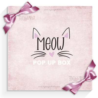 SOLD OUT! POP UP BOX Meow