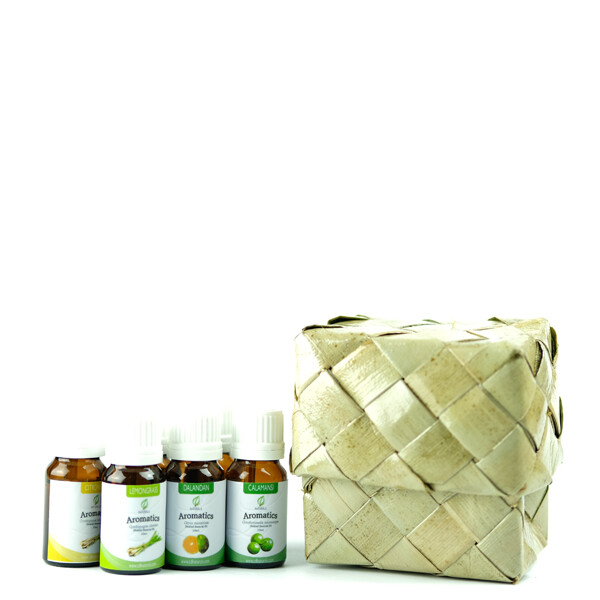 Holiday Full Essential Oil Bundle with Pandan Box