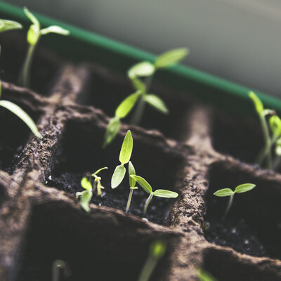 Gardening