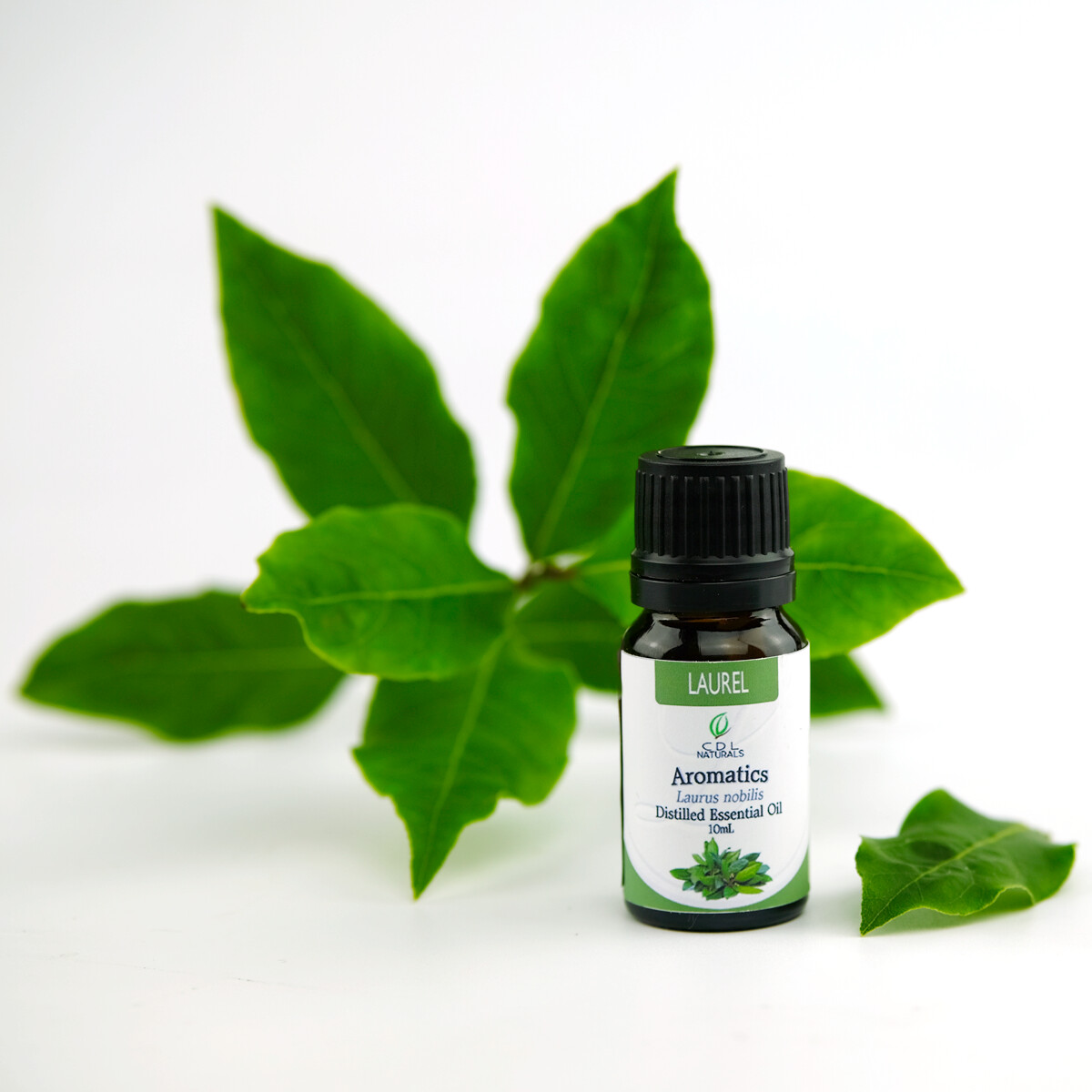 Laurel Essential Oil