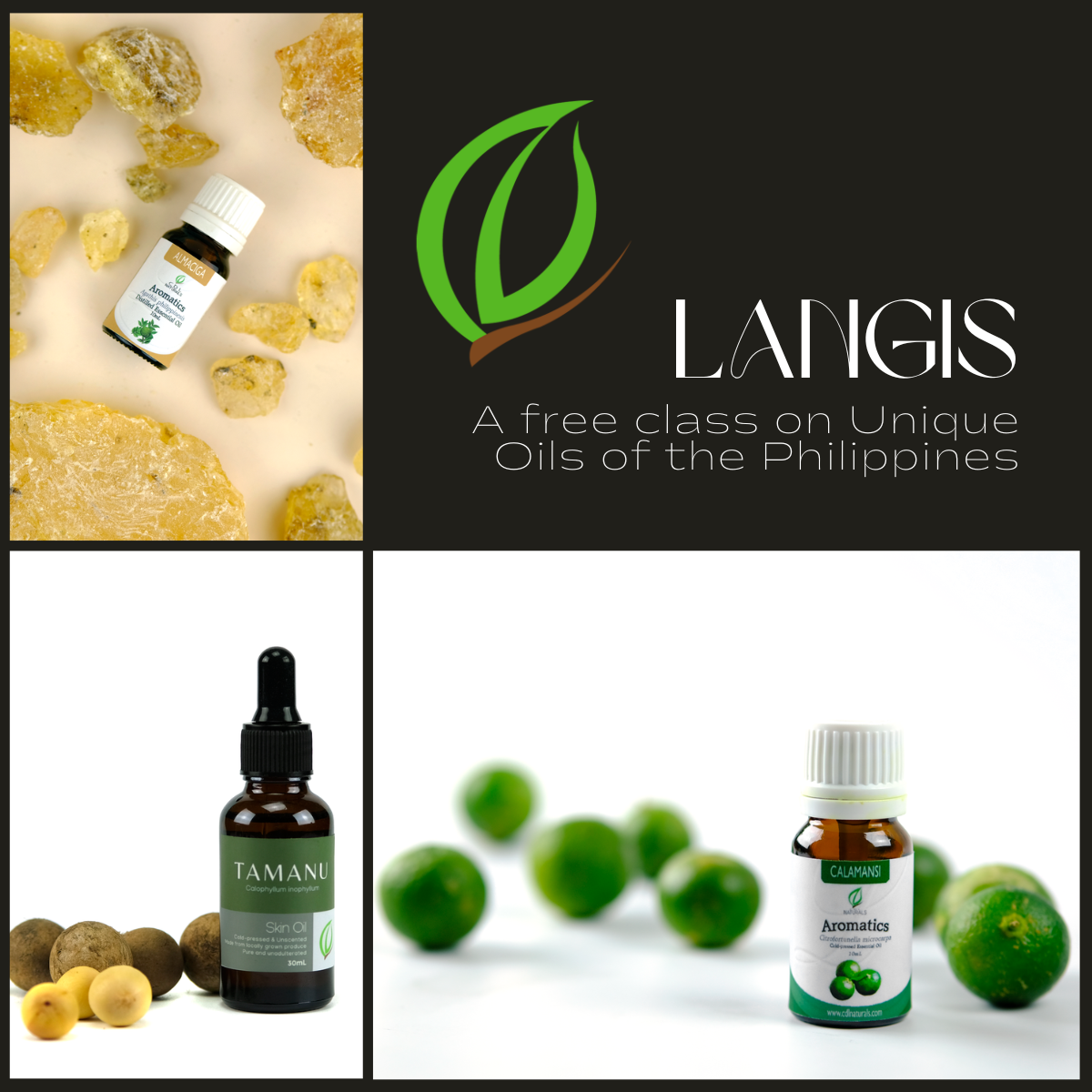 Langis: A class about the Unique Oils of the Philippines