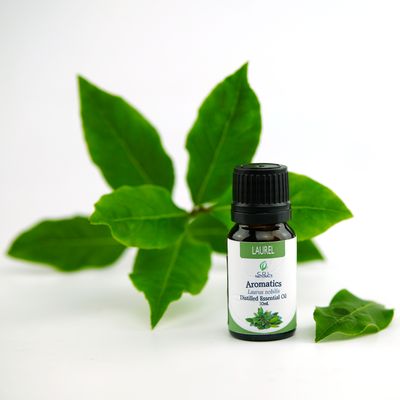 Laurel Essential Oil
