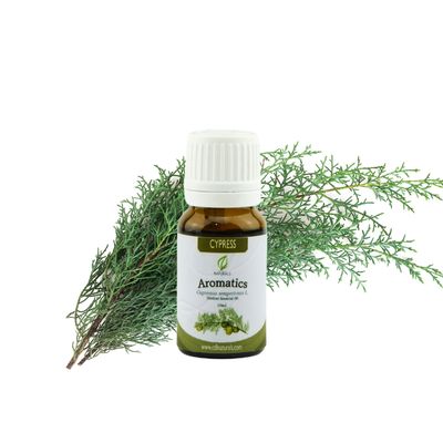 Cypress Essential Oil