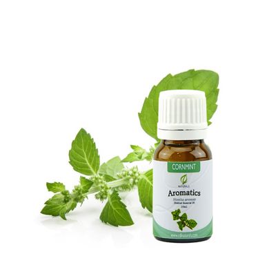 Cornmint Essential Oil