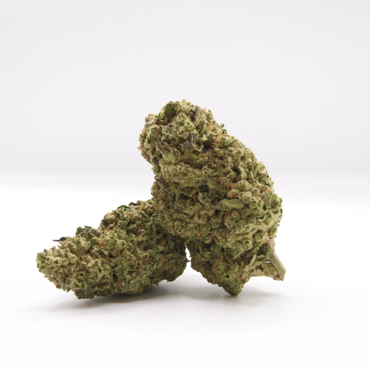 Jack Herer