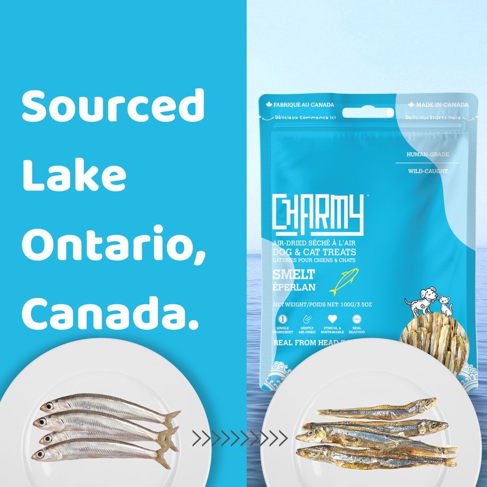 CHARMY PET Dog &amp; Cat Treat Smelt 85g
