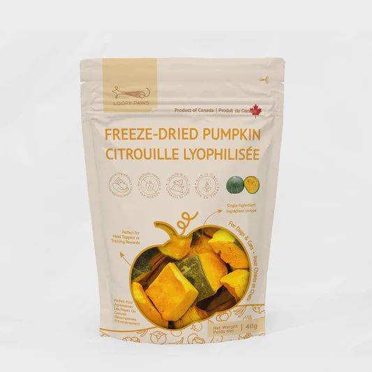 Loopy Paws Fruity Crunchy Kabocha Pumpkin 40g
