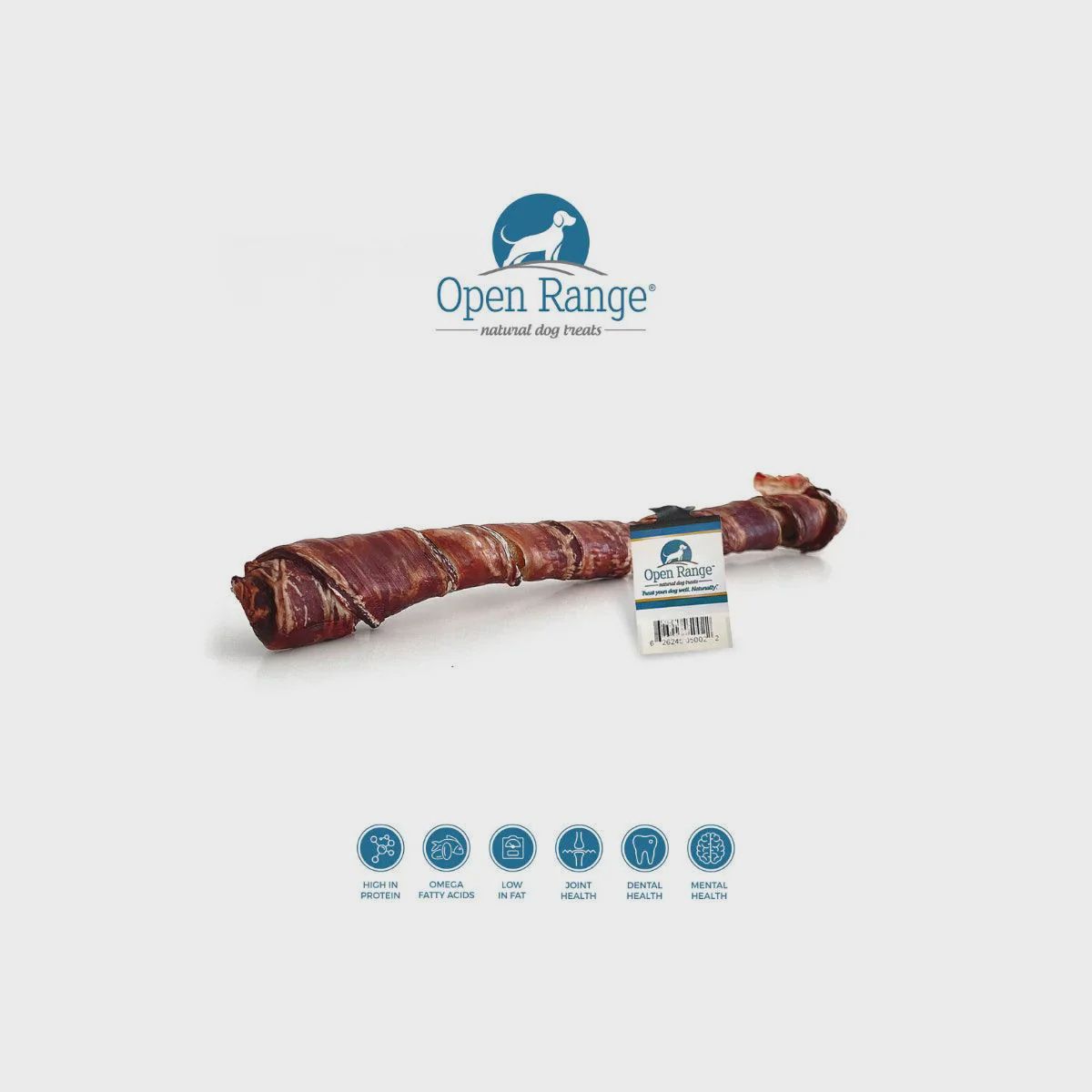 Open Range Cheeky Stick w/ Esophagus 8-10&quot;