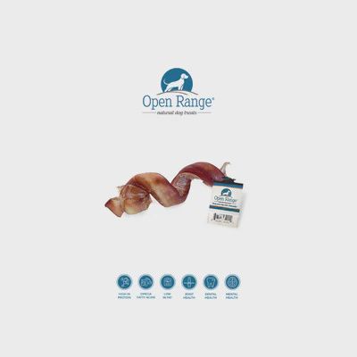 Open Range Bully Spring 5-6&quot;
