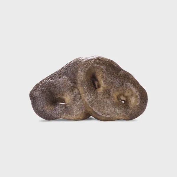 Vital Essentials Pig Snouts
