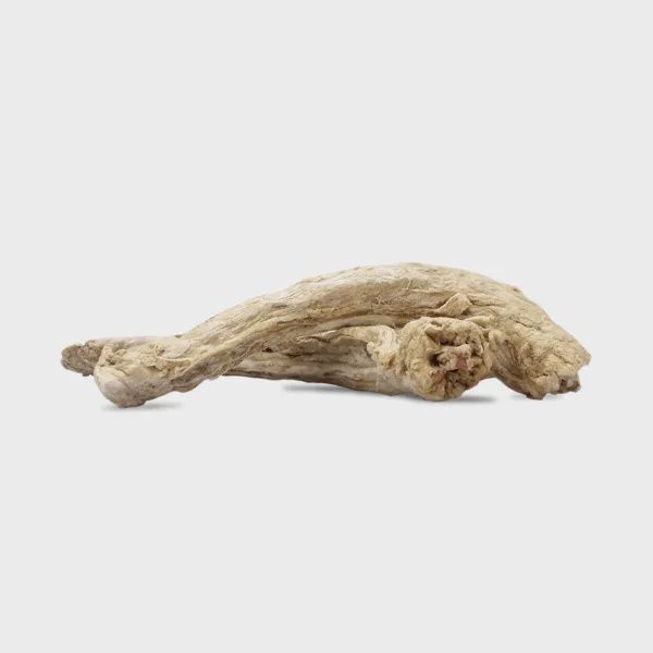 Vital Essentials Turkey Necks