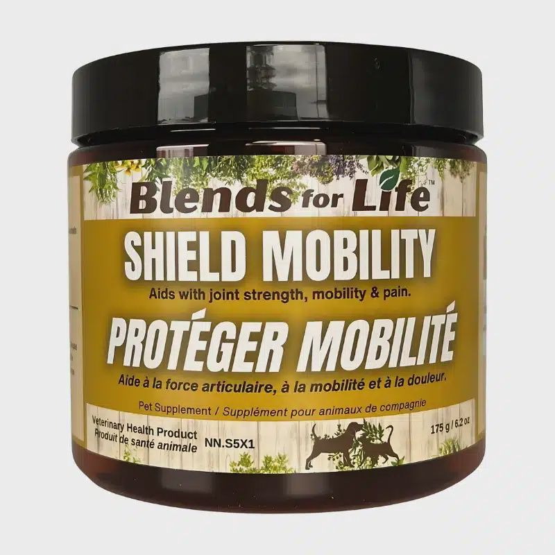 LIVSTRONG Shield Mobility Powder 175g