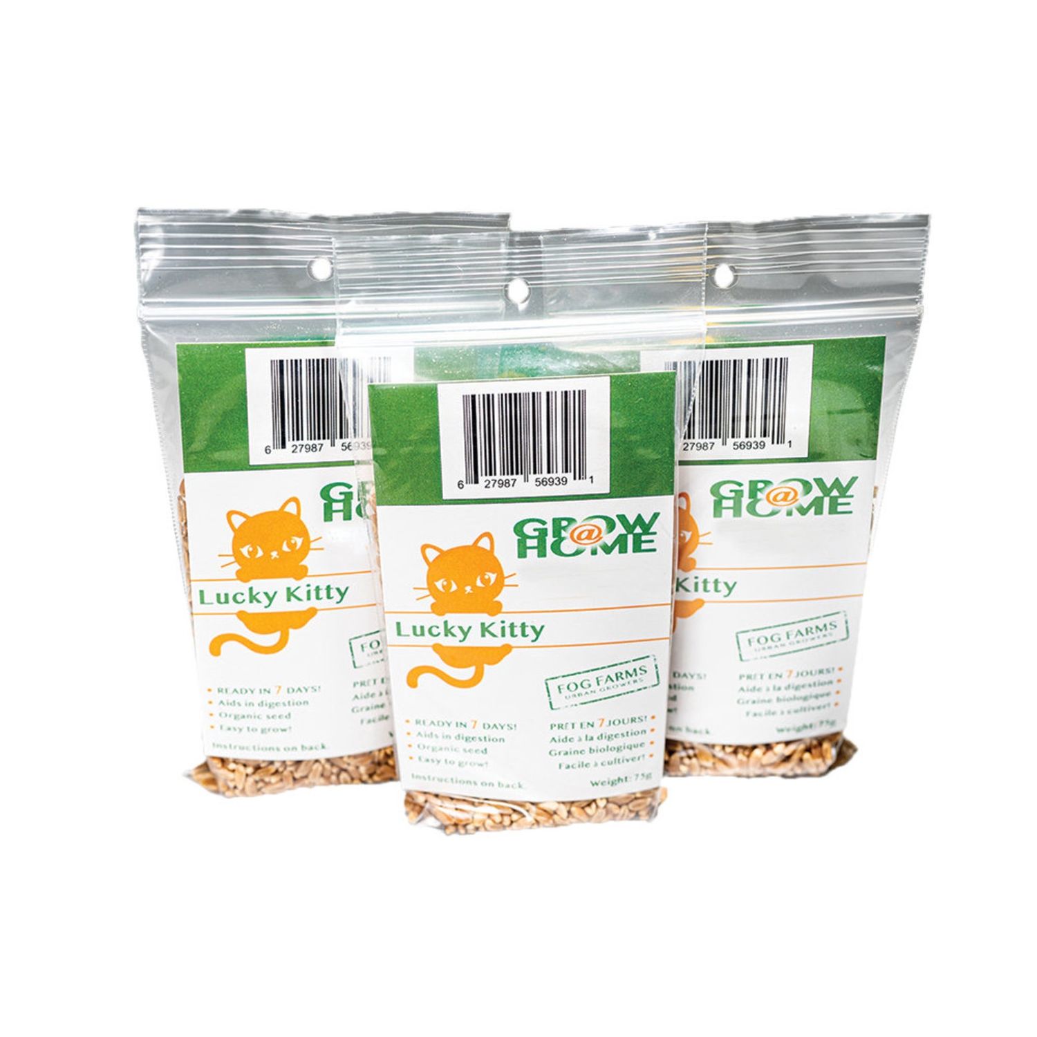 Lucky Kitty - Grow at Home Seed Pack
