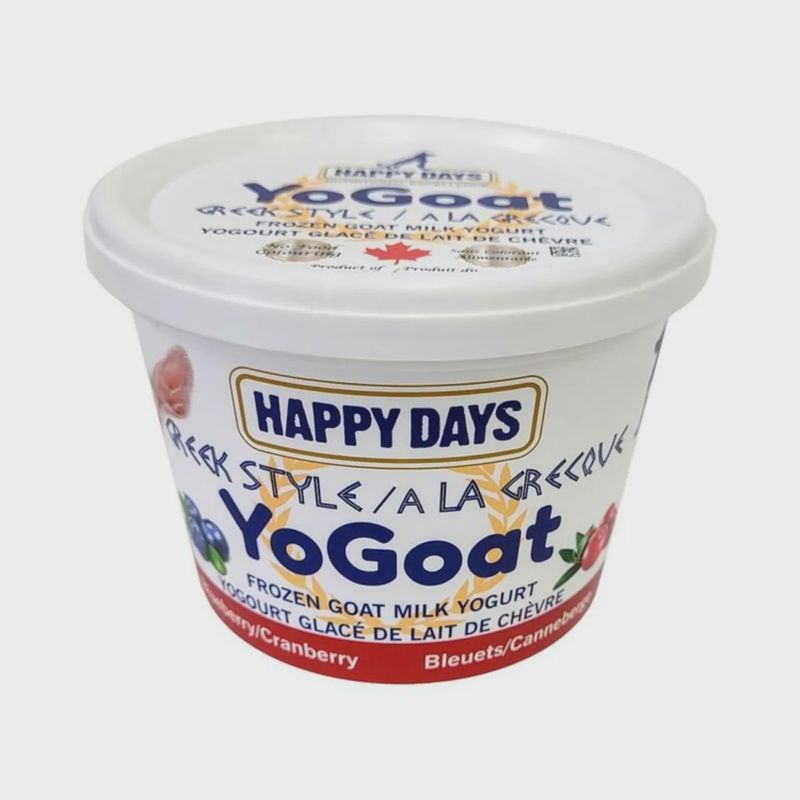 HAPPY DAYS | Frozen Greek Yogurt Blueberry/Cranberry 475g