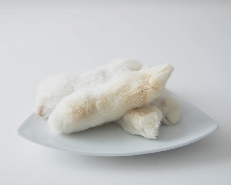 Grand Valley Rabbit feet