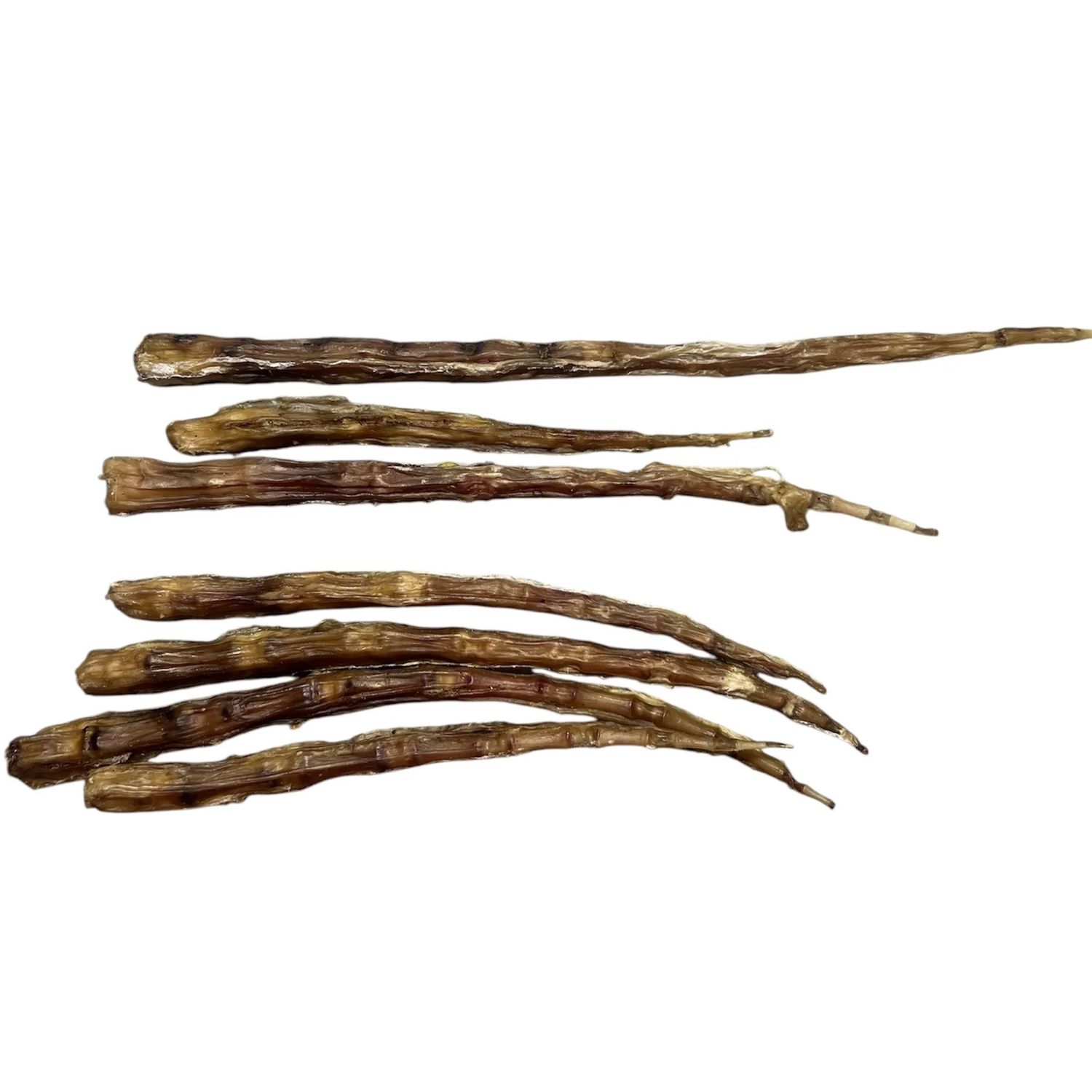 Grand. Valley Dehydrated Cow Tail Tip