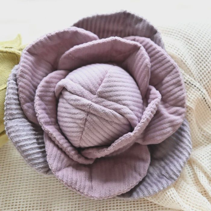 Lambwolf Red Cabbage Pop