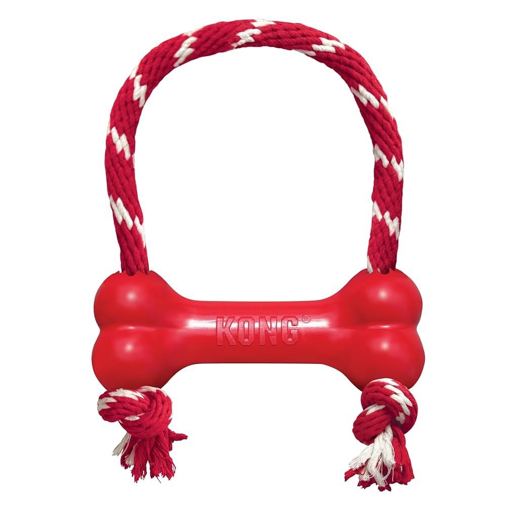 Kong Goodie Bone w/ Rope