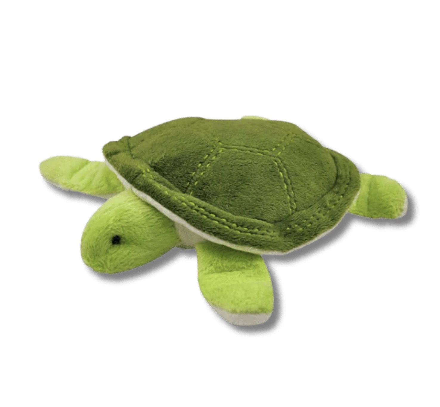 PLAY - Under the Sea Collection - Tortoise