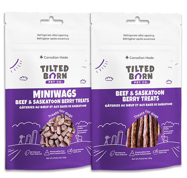 Tilted Barn Pet Co. Beef &amp; Saskatoon Treats