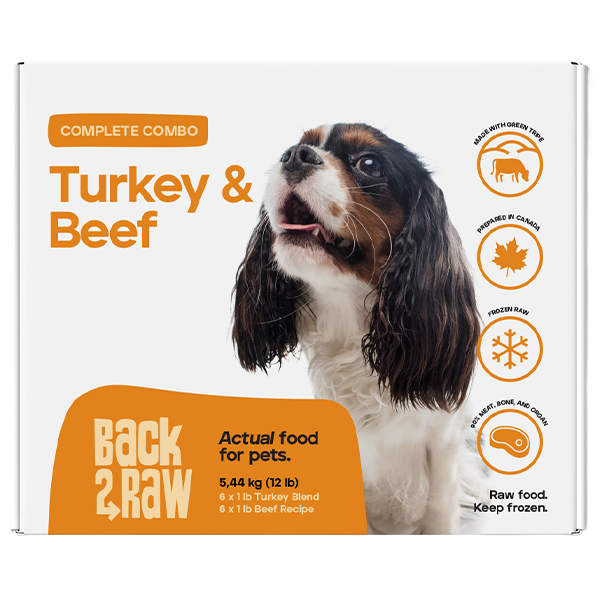 BACK2RAW Complete Turkey/Beef Blend 12lb BOX