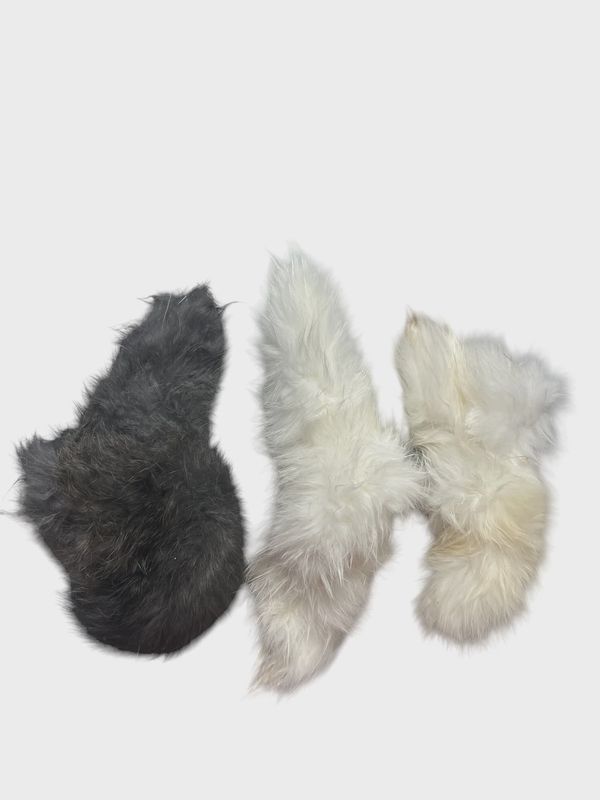 Grand Valley Rabbit Tail