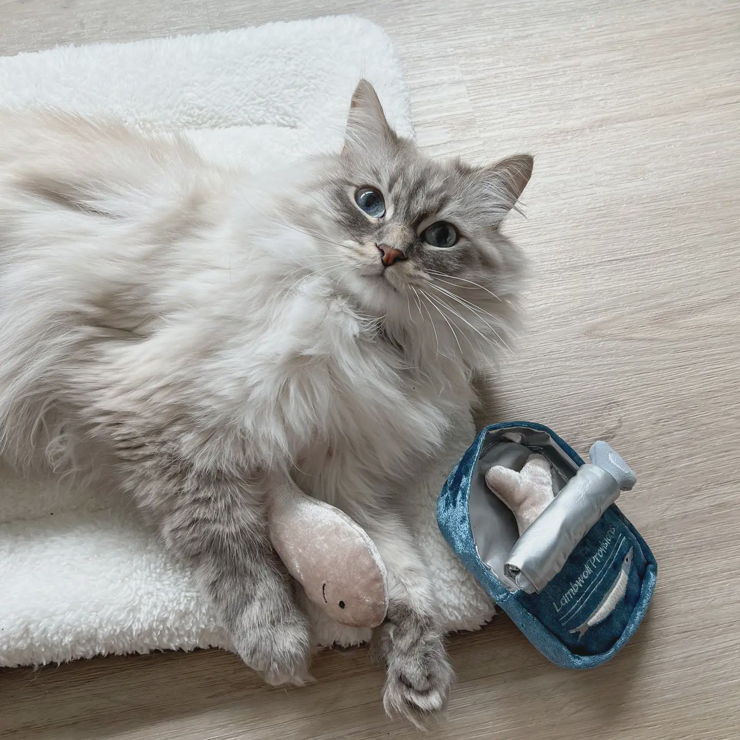 Lambwolf Kitty Sardines with Catnip