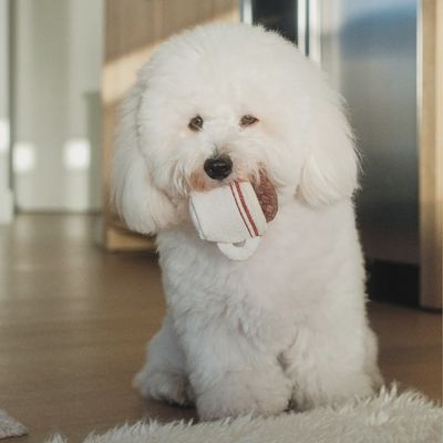 Lambwolf Expresso Pop