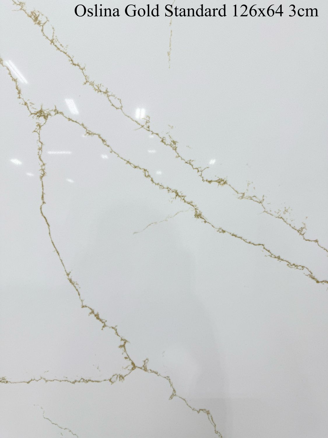 Calacatta Oslina Gold