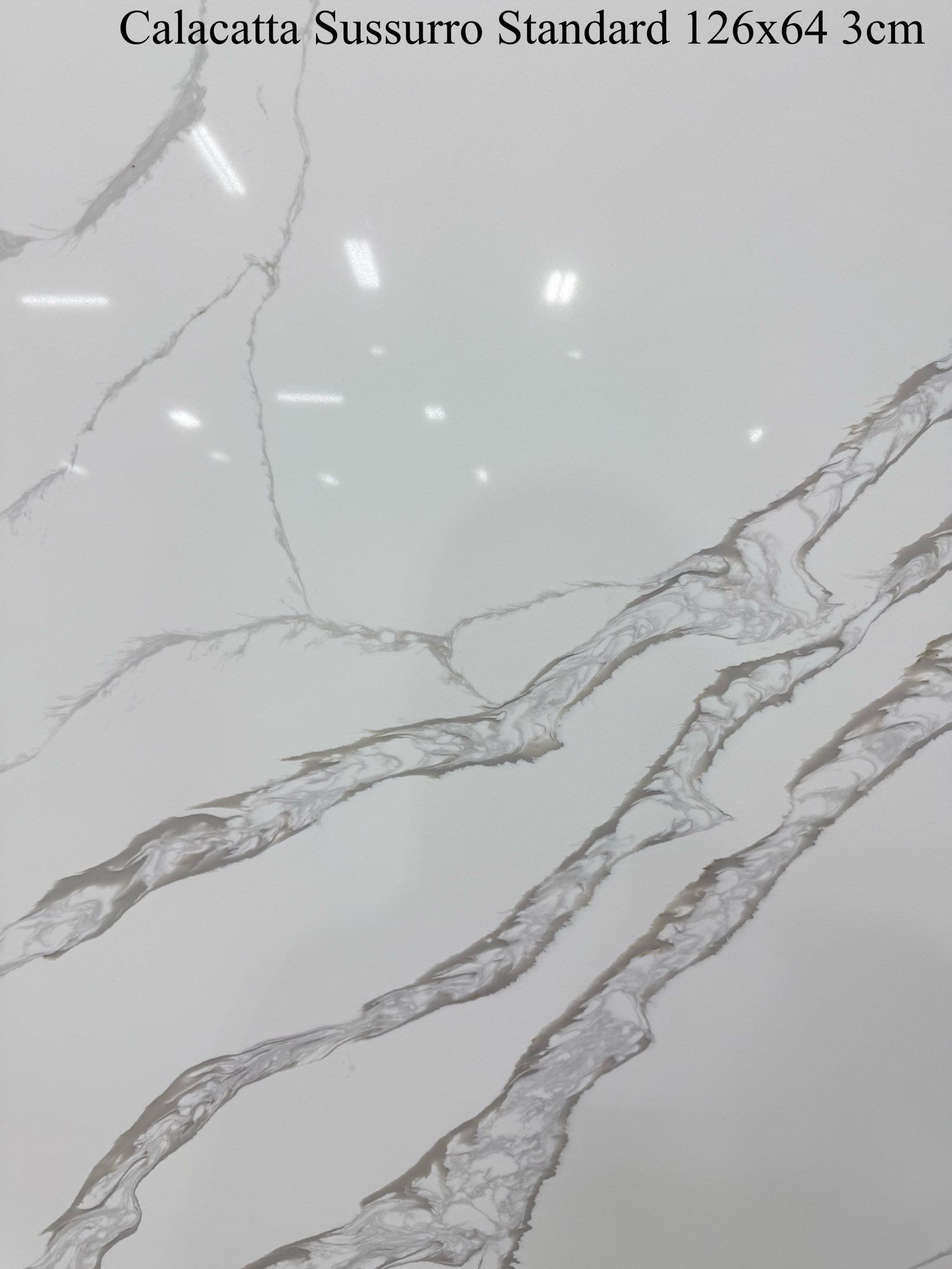 Calacatta Susurro Standard