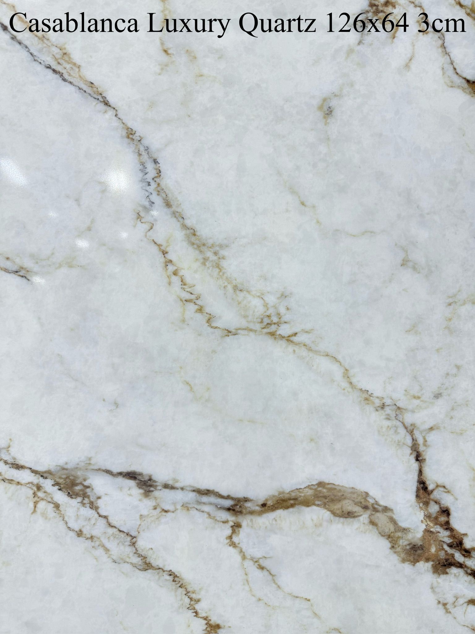 Casablanca Luxury Quartz