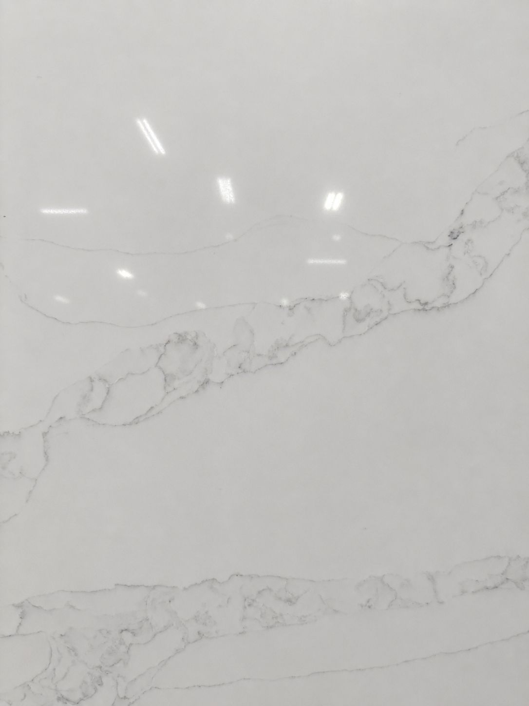 Calacatta Nisreen Standard