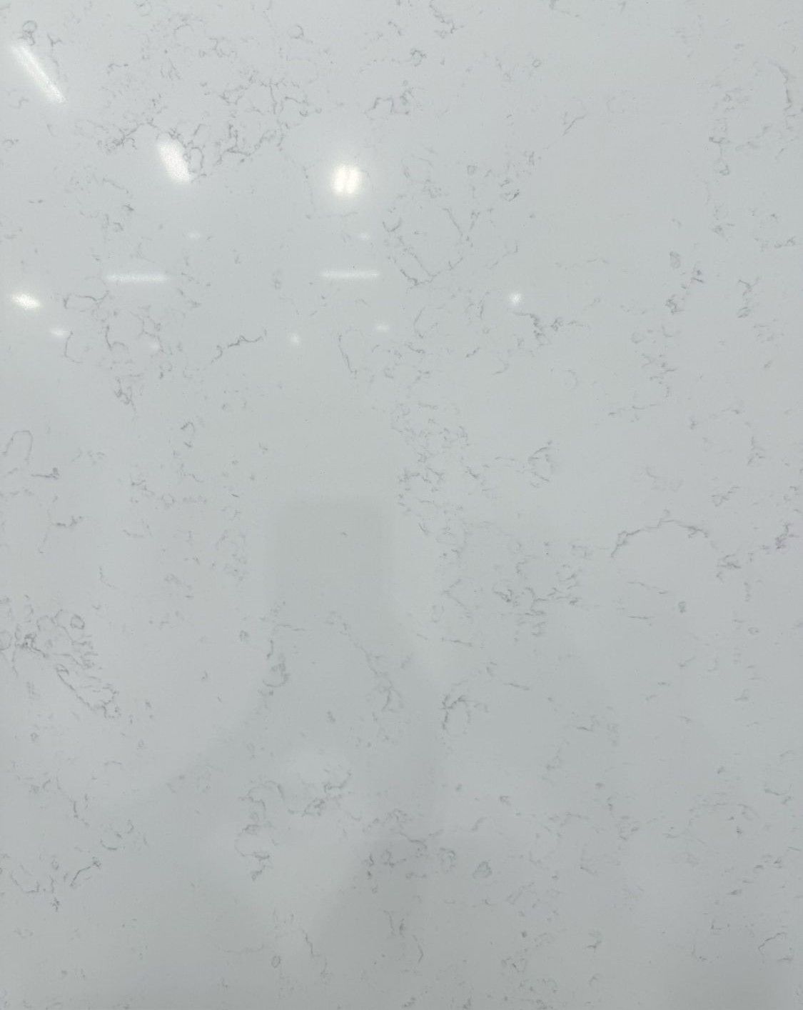 Carrara Sherbi Standard
