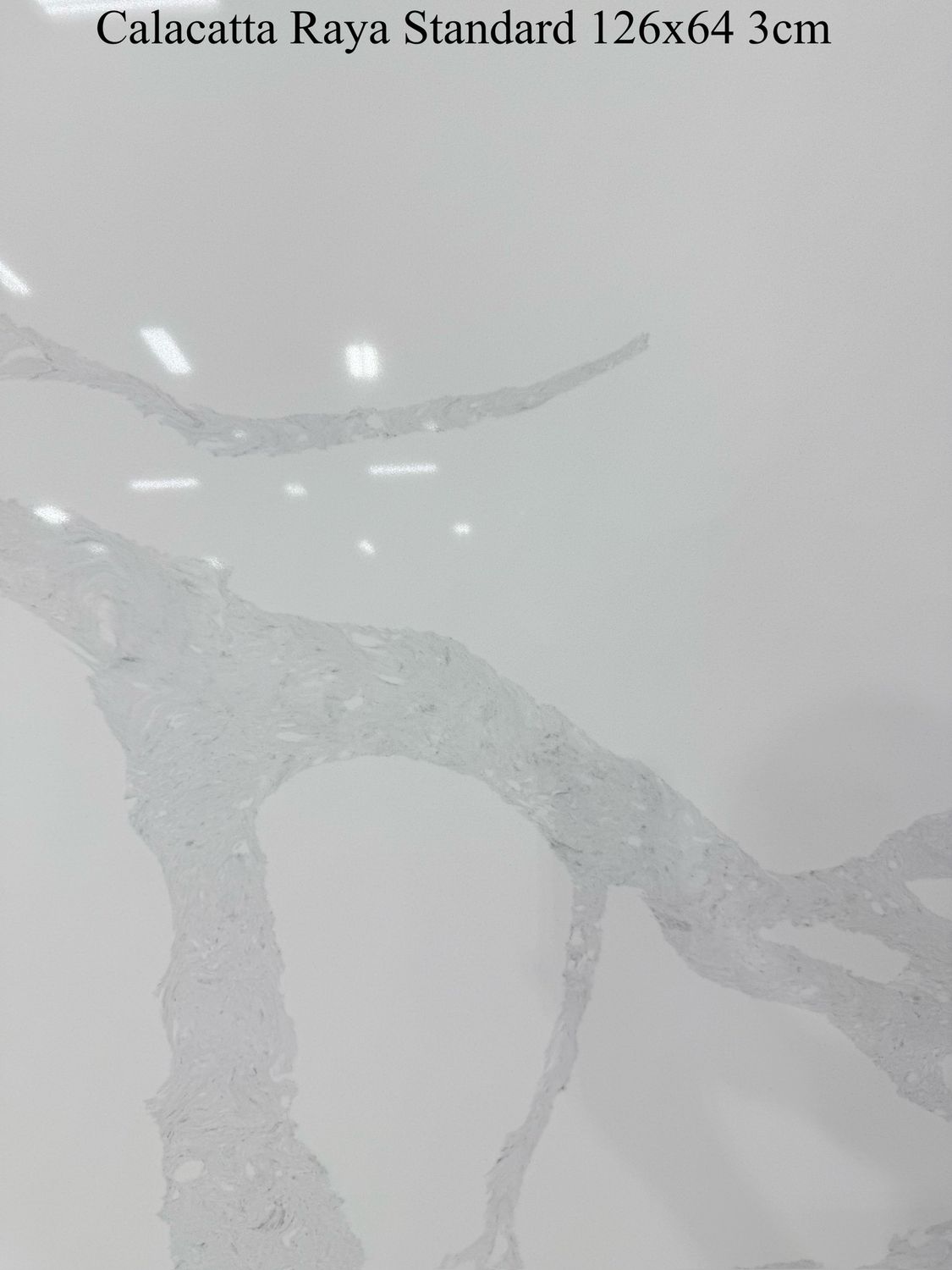 Calacatta Raya Standard