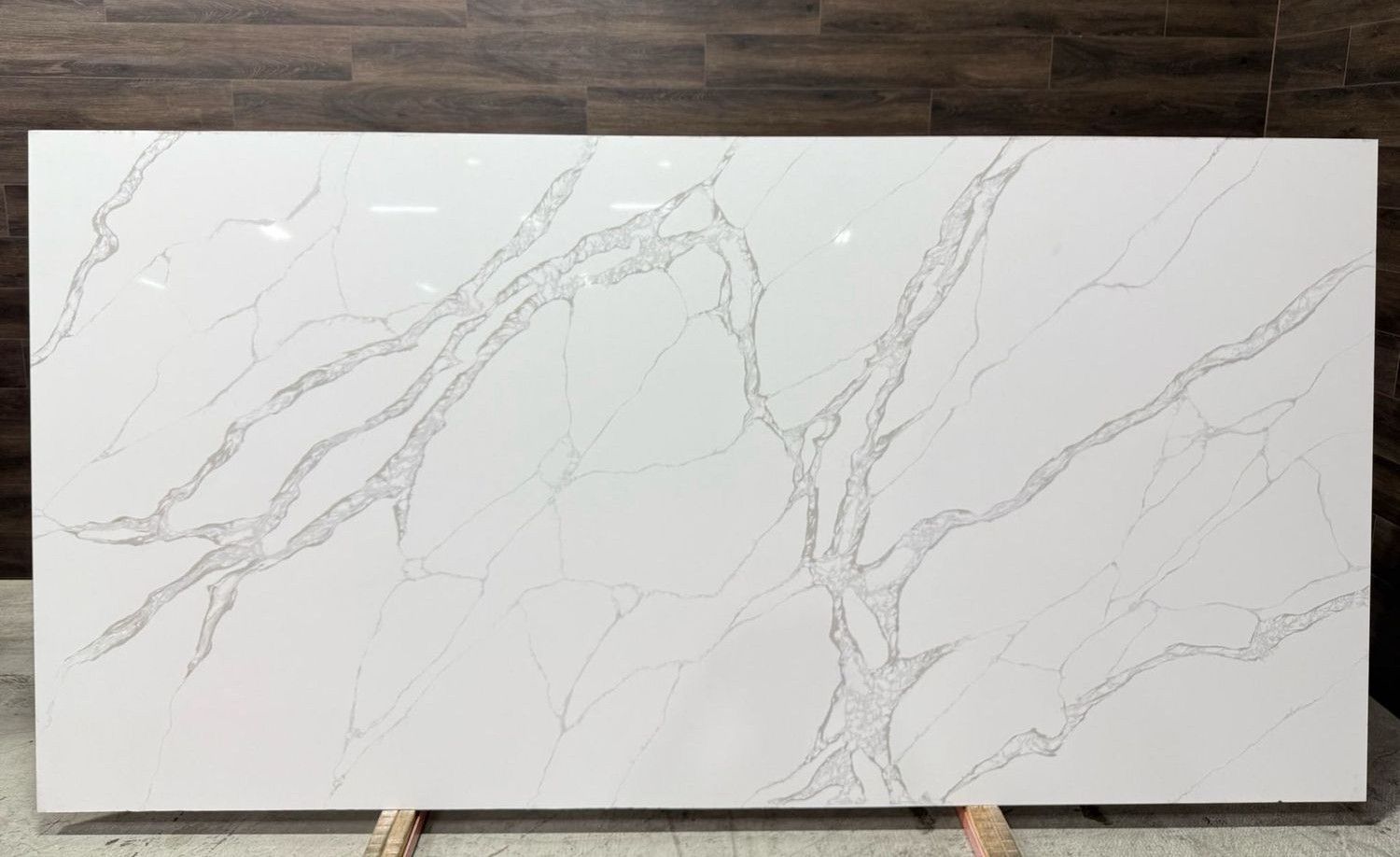 Calacatta Susurro Standard