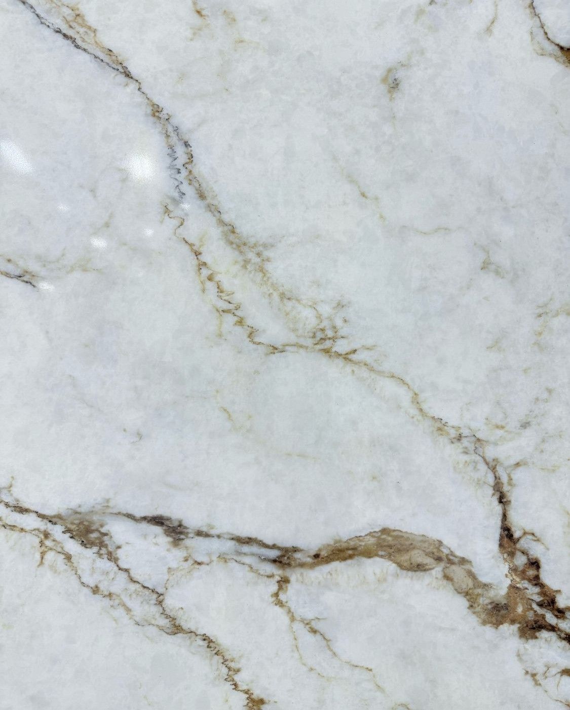 Casablanca Luxury Quartz