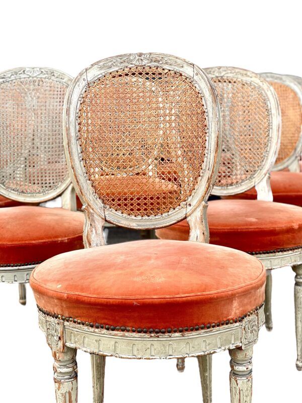 Rare ensemble de 14 chaises de salle à manger d'époque Louis XVI avec dossier en canne et assises en velours