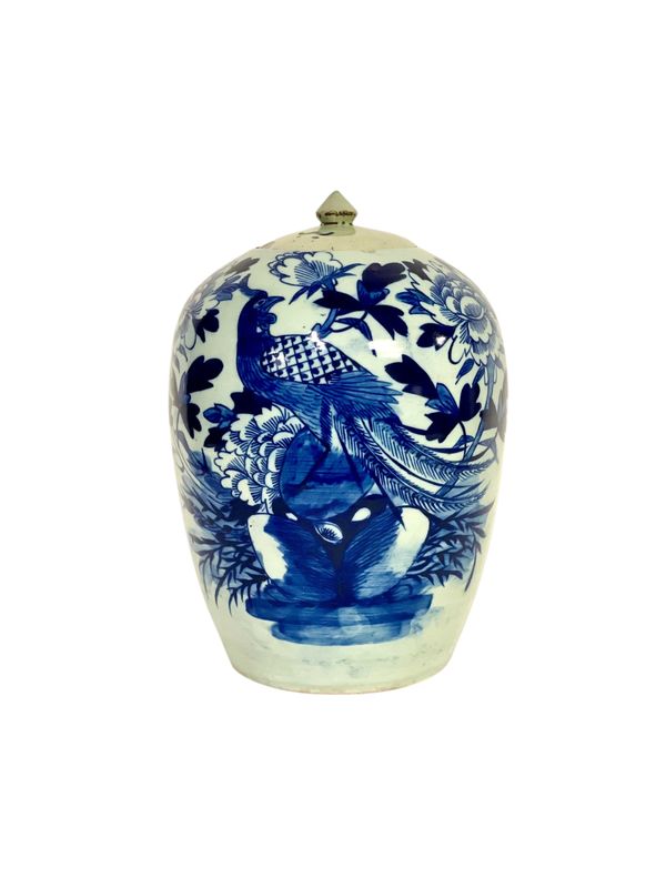 Pot à gingembre chinois bleu et blanc du XIXe siècle avec paon