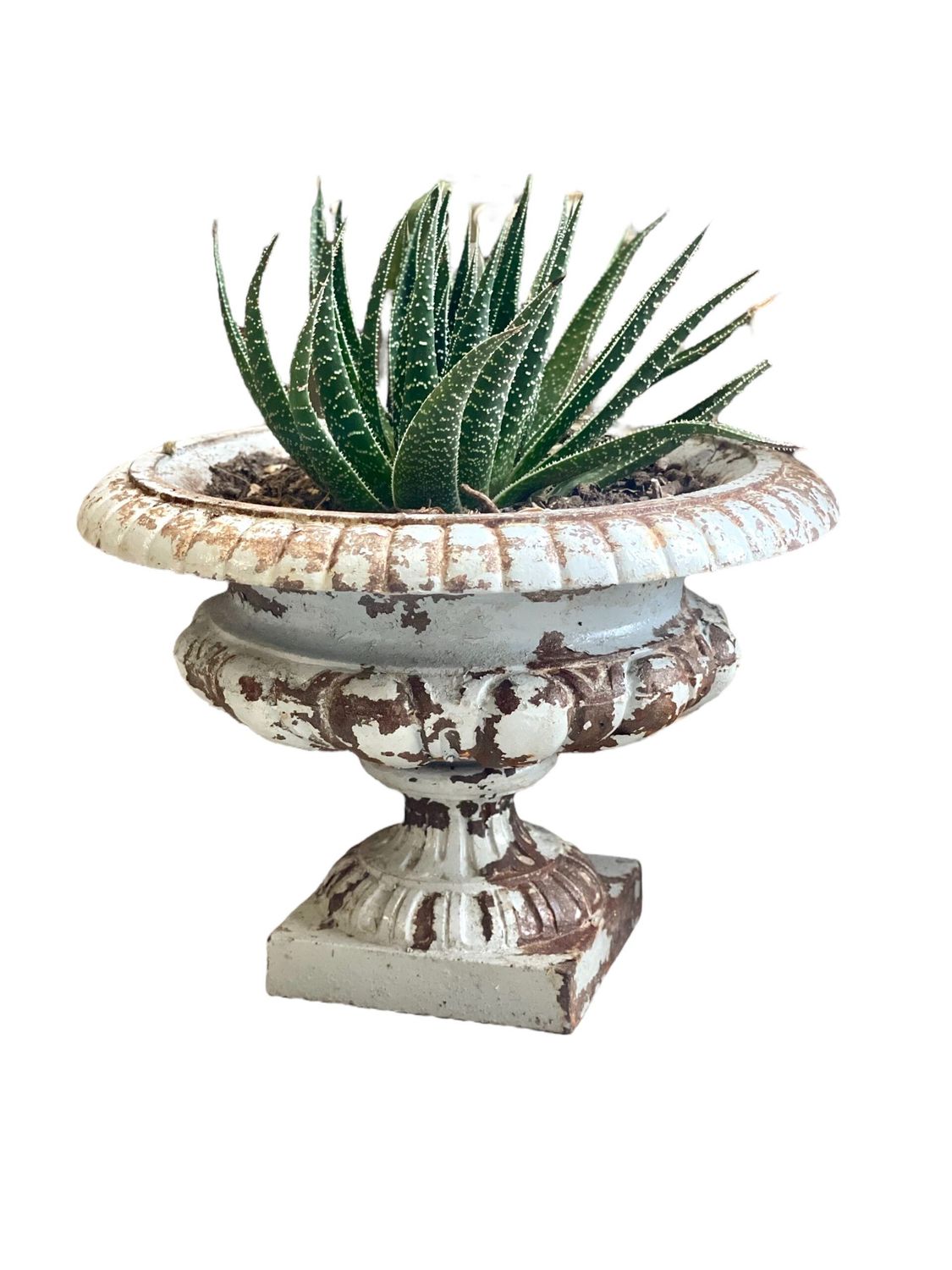 Jardinière en fonte du XIXe siècle