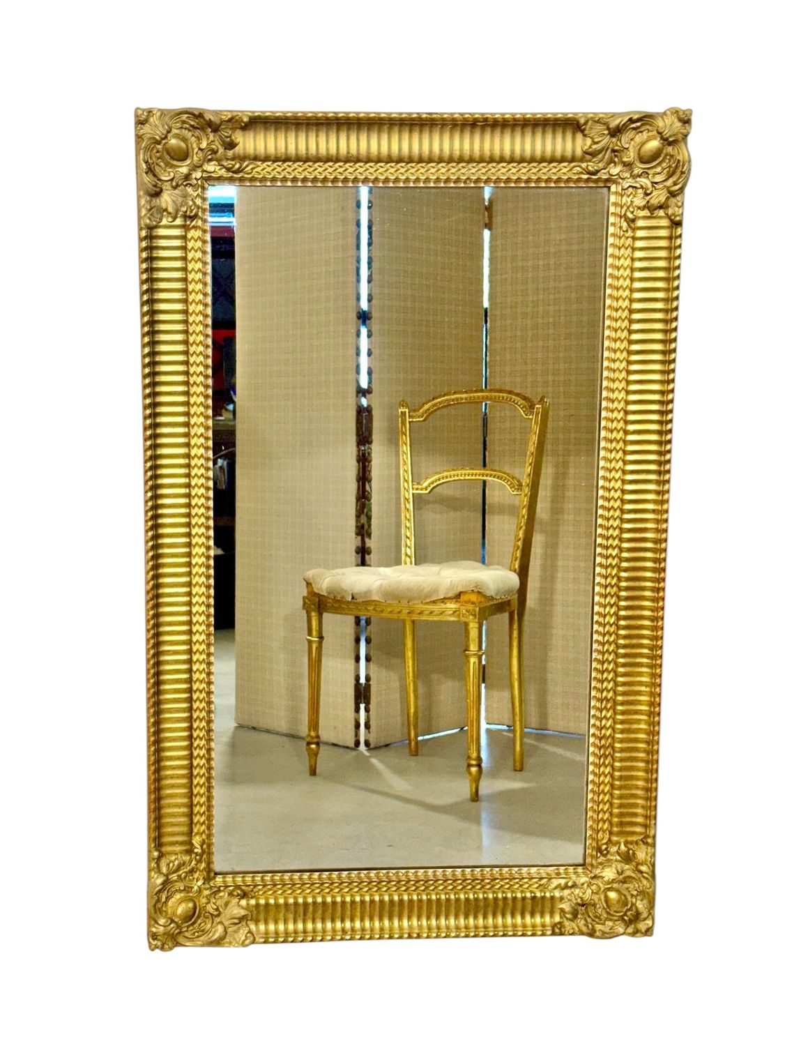 19th Century French Rectangular Giltwood Louis Philippe Mirror