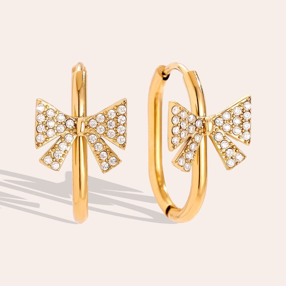 Stainless Steel strikken creolen