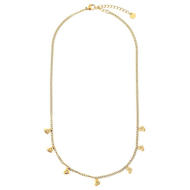 Stainless Steel mini hearts ketting
