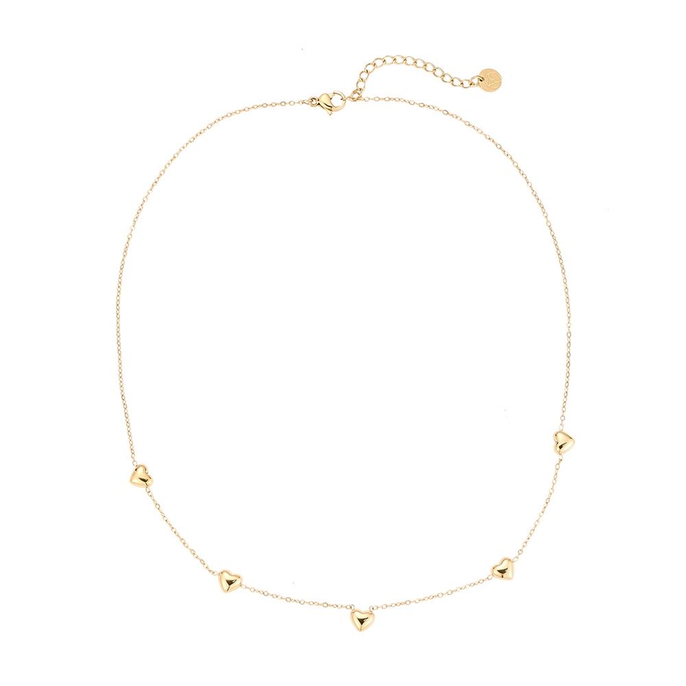 Stainless Steel Quintet-Hearts ketting